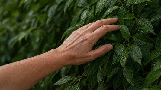 Hand Rejuvenation: How to Improve Wrinkles and Age Spots on Hands